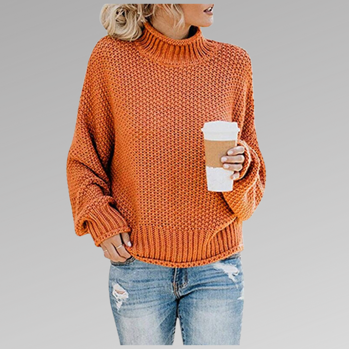 Delphine | Women's Chunky Knit Turtleneck Sweater