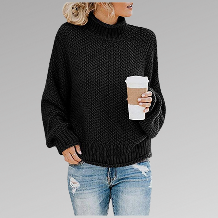 Delphine | Women's Chunky Knit Turtleneck Sweater