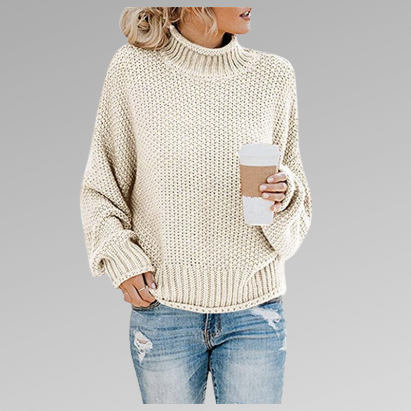 Delphine | Women's Chunky Knit Turtleneck Sweater
