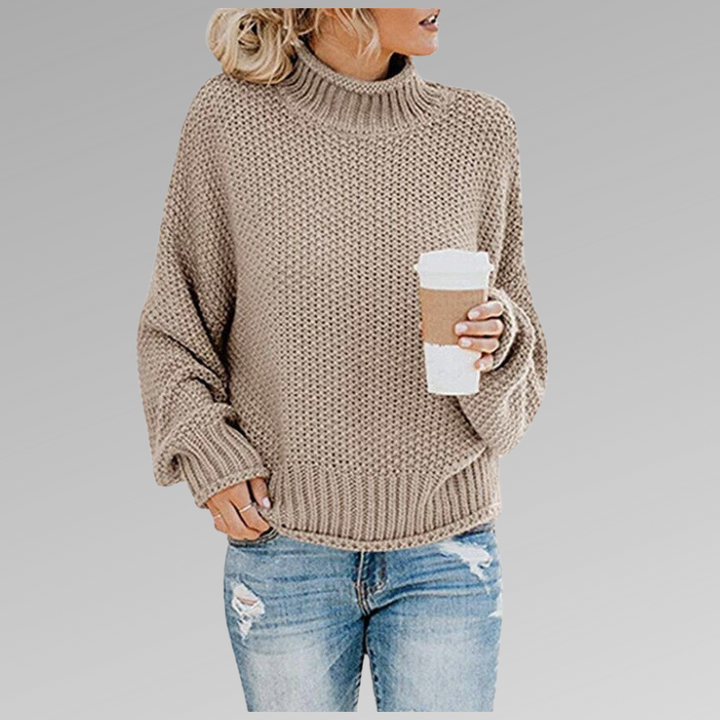 Delphine | Women's Chunky Knit Turtleneck Sweater