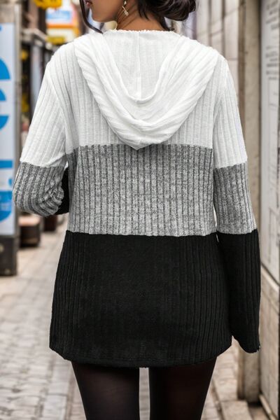 Nadine colorblock ribbed knit sweater, back view with hood