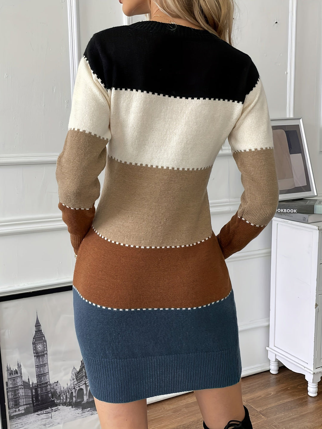 Marcella colorblock sweater dress, back view showing ribbed trim