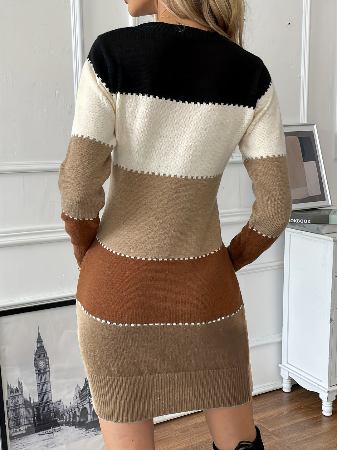 Marcella colorblock sweater dress, back view showing ribbed trim