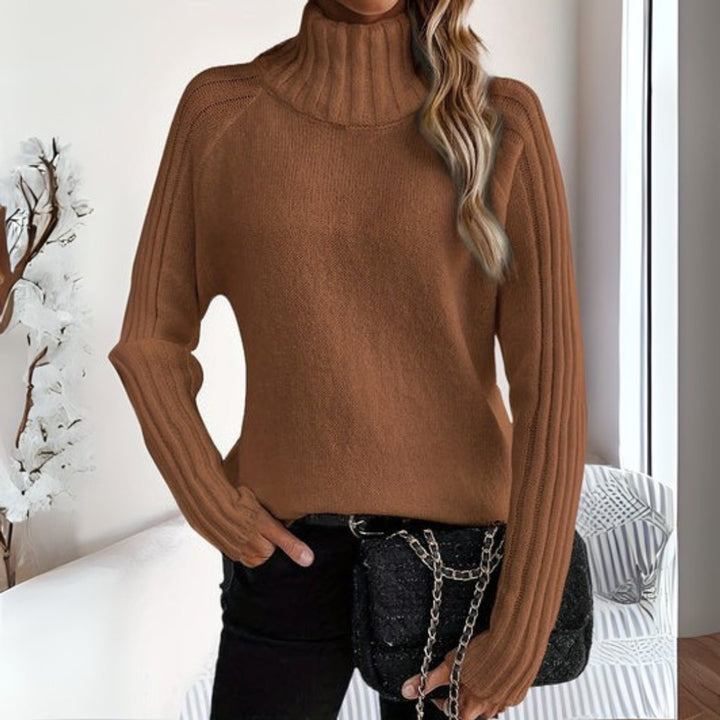 Fernanda ribbed turtleneck long sleeve sweater in brown, front view
