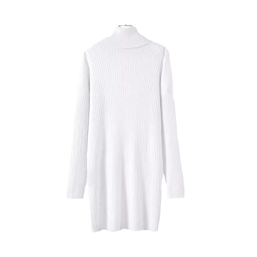 Wren ribbed turtleneck mini dress in white, flat lay back view